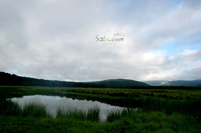 DSC_0080.jpg