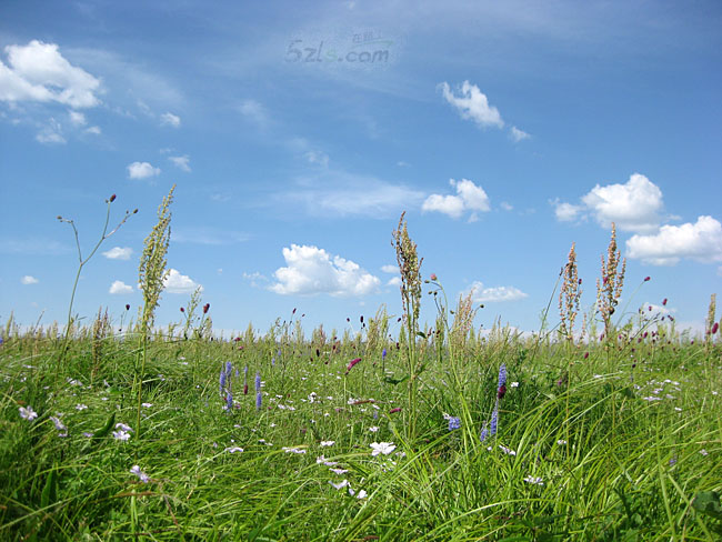 IMG_0878.jpg