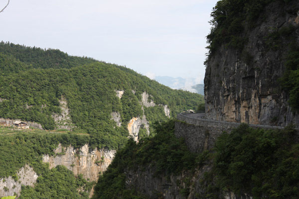 IMG_8006.jpg