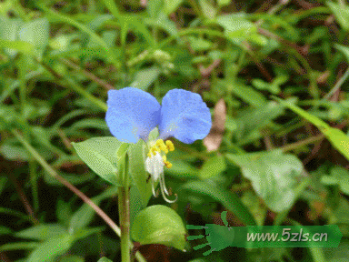P1080858.gif