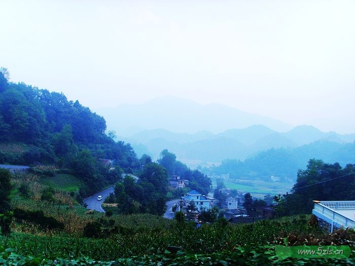 凑个热闹