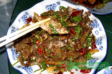 Ƭ 063.jpg