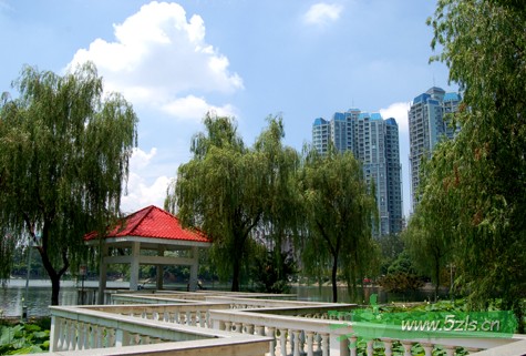 DSC_0003.jpg