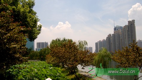 DSC_0001.jpg