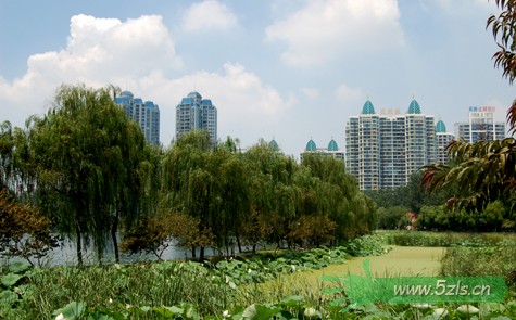 DSC_0013.jpg