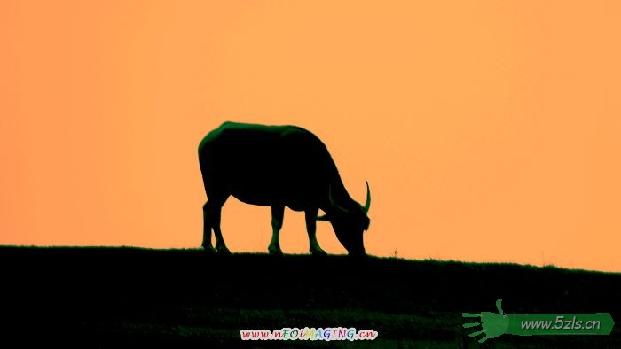 1218474779584_000[1].jpg