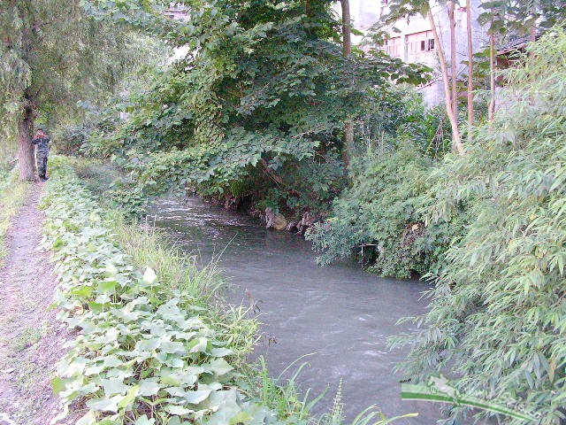 小路