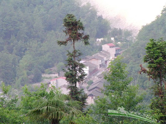 我们住在相对平缓的山坡上，从山上可以看到小镇的全