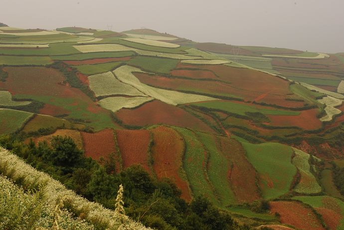 DSC_0100.jpg