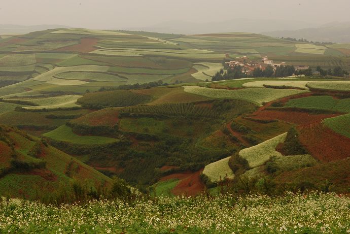 DSC_0216.jpg