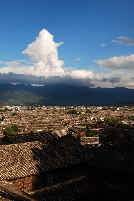 DSC_0347.jpg