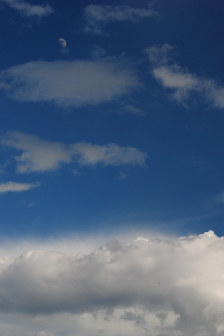 DSC_0345.jpg