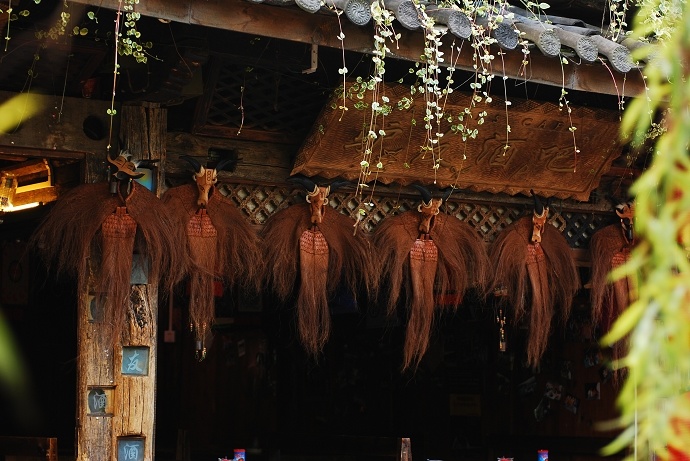 DSC_0372.jpg