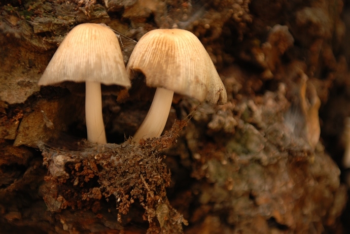 DSC_0105.jpg