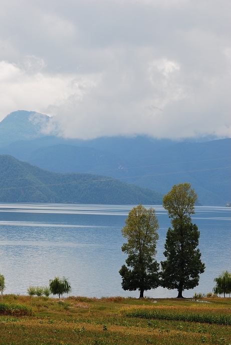DSC_0194.jpg
