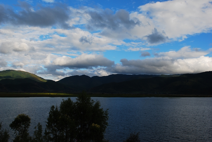 DSC_0341.jpg