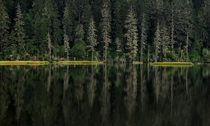 DSC_0288.jpg