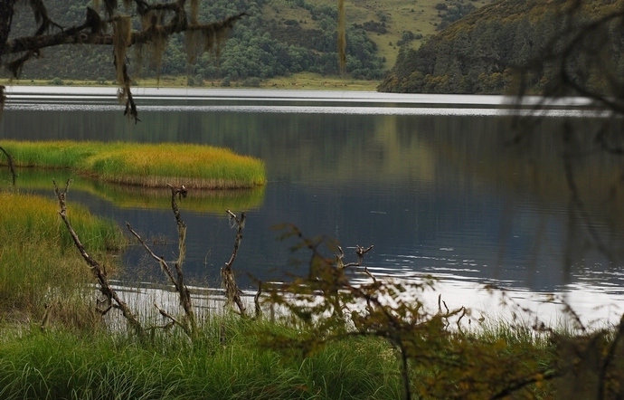 DSC_0229.jpg