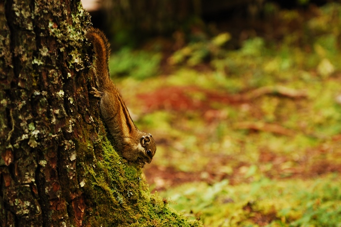 DSC_0195.jpg