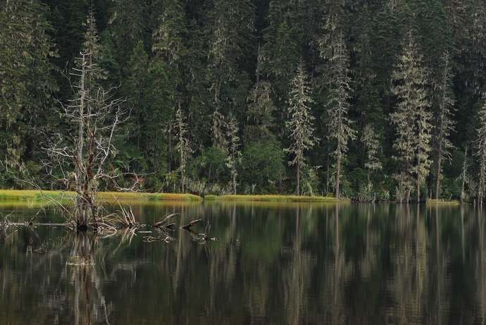 DSC_0266.jpg