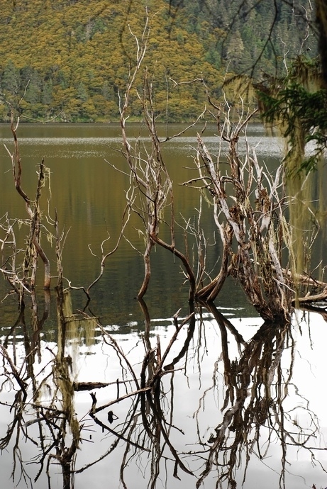 DSC_0236.jpg