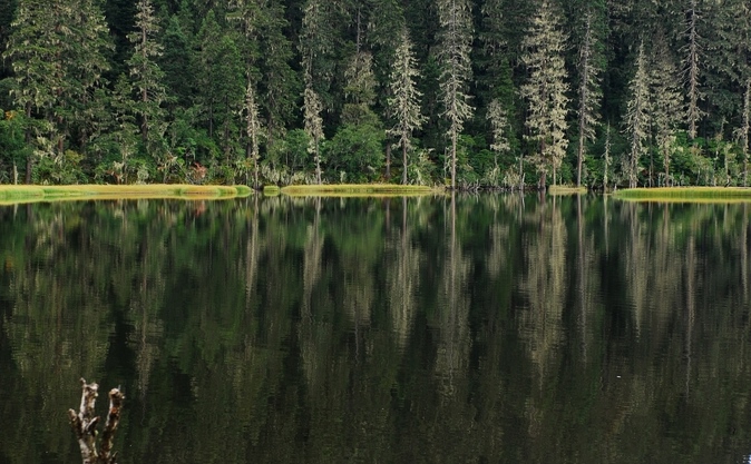 DSC_0295.jpg
