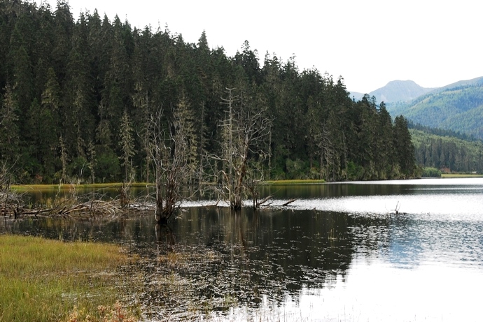 DSC_0259.jpg