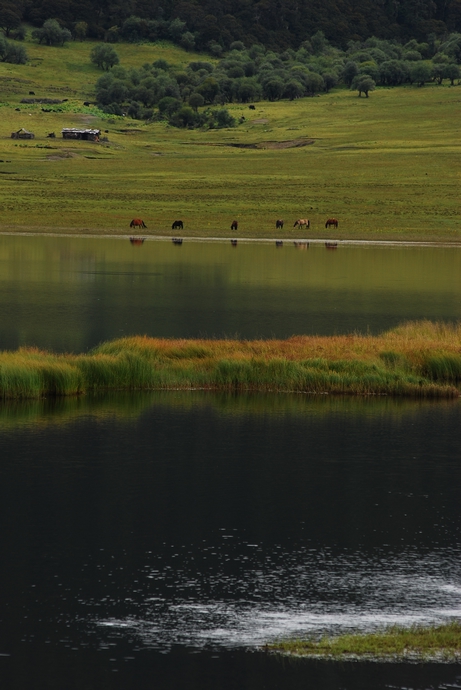 DSC_0355.jpg