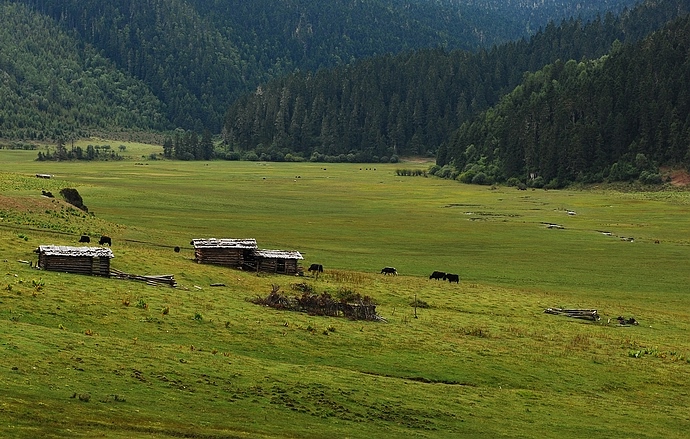 DSC_0379.jpg