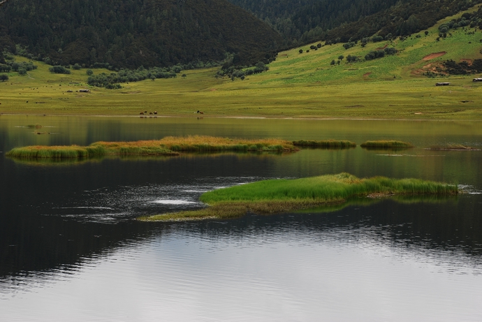DSC_0352.jpg