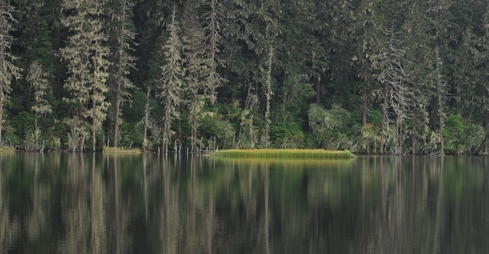 DSC_0265.jpg