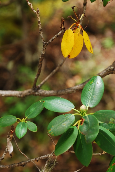DSC_0419.jpg