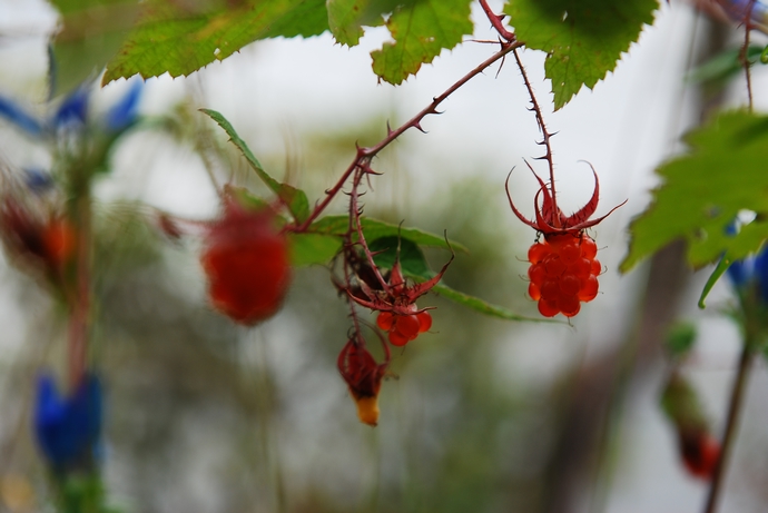 DSC_0314.jpg