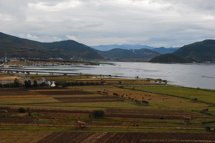 纳帕海全