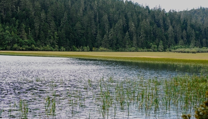 DSC_0023.jpg