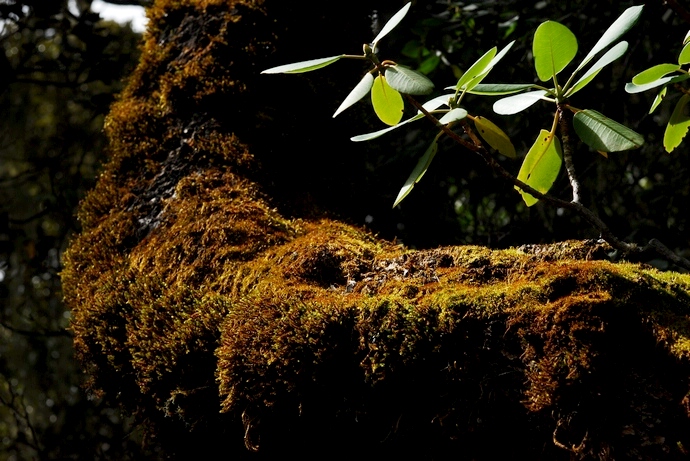 DSC_0014.jpg