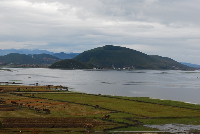 DSC_0031.jpg