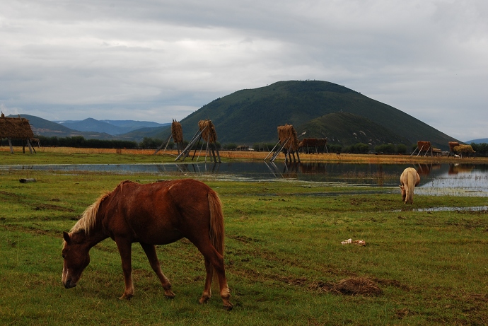 DSC_0029.jpg