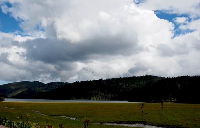 DSC_0104.jpg