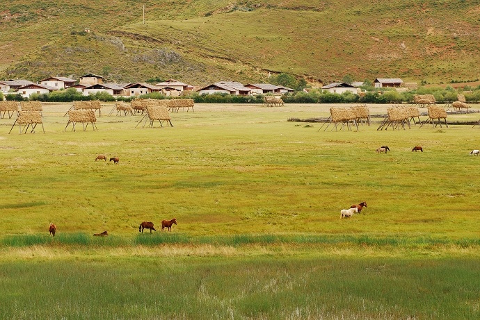 DSC_0155.jpg