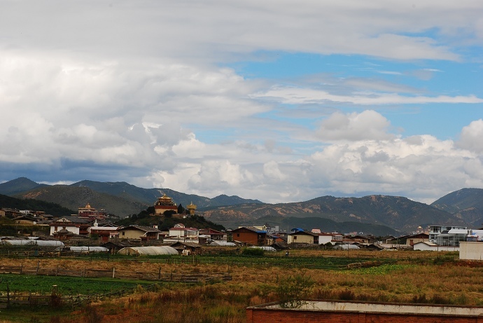DSC_0177.jpg