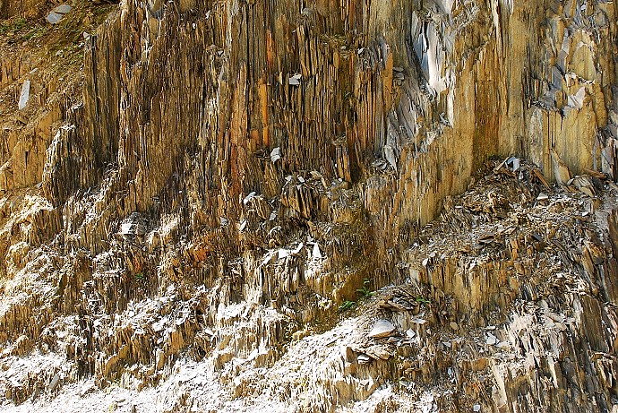 DSC_0177.jpg