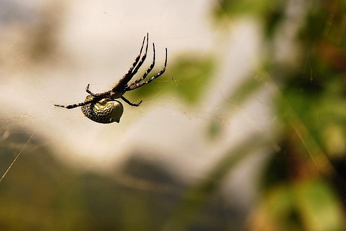 DSC_0161.jpg