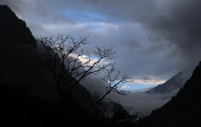 DSC_0011.jpg