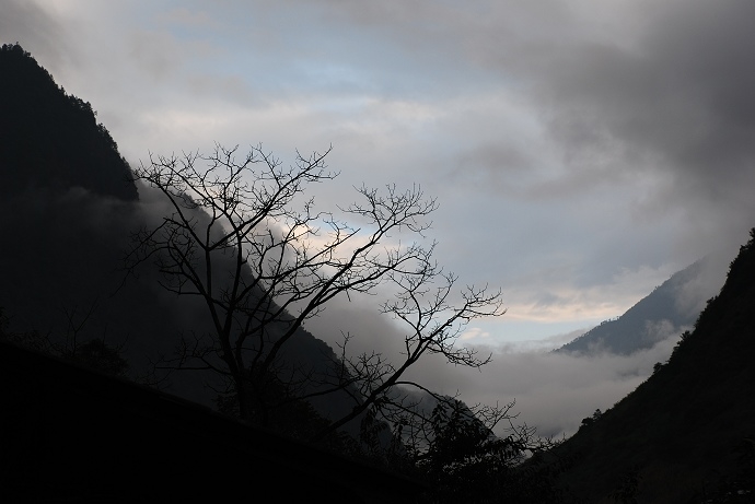 DSC_0009.jpg