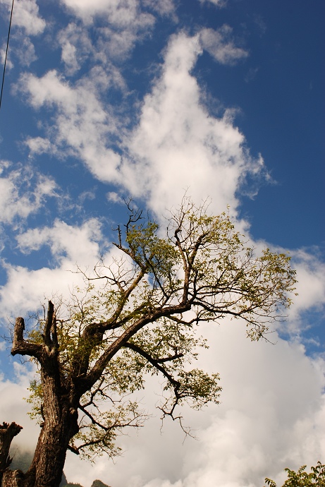 DSC_0155.jpg