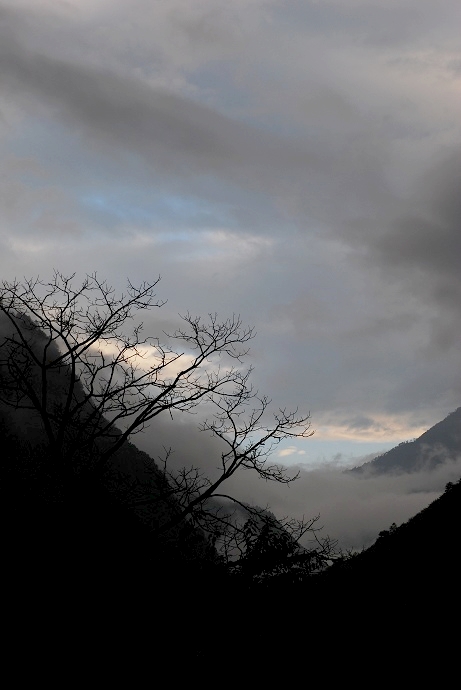 DSC_0012.jpg
