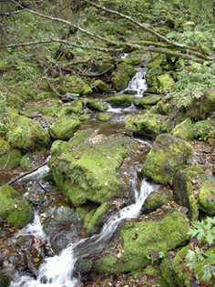 DSCN5092.jpg