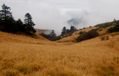 DSC_0013.jpg