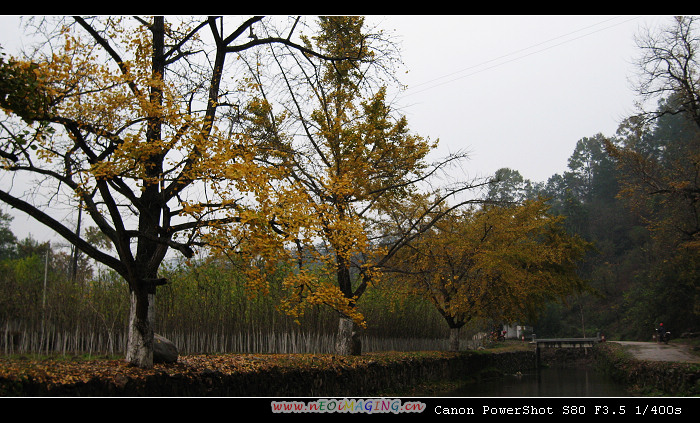 IMG_0065a.jpg